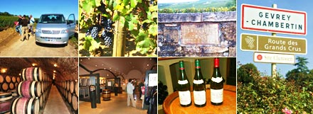 ボーヌの見どころ