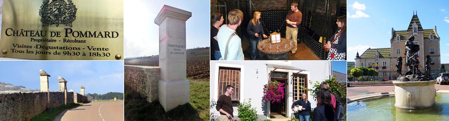 コート・ド・ボーヌを駆け抜ける!ぶどう畑と試飲ツアー