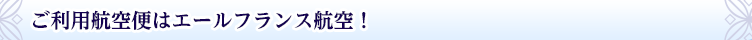 ご利用航空便はエールフランス航空!