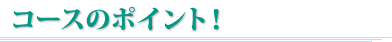 コースのポイント!