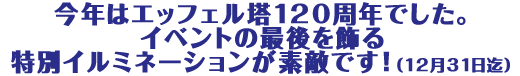 今年はエッフェル塔120周年でした。イベントの最後を飾る特別イルミネーションが素敵です!(12月31日迄)