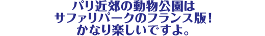 パリ近郊の動物公園はサファリパークのフランス版!かなり楽しいですよ。