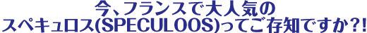 今、フランスで大人気のスペキュロス(SPECULOOS)ってご存知ですか?!