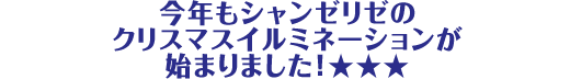 今年もシャンゼリゼのクリスマスイルミネーションが始まりました!☆☆☆