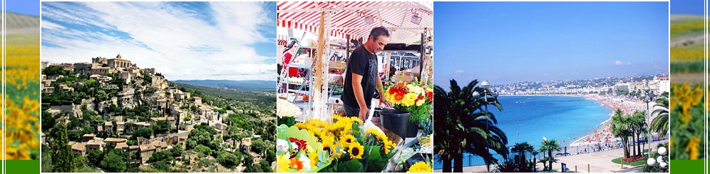 憧れの南フランス プロヴァンス & コート・ダジュール